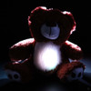 BooBuddy Interactive Ghost Hunting Bear with Lights and Sound