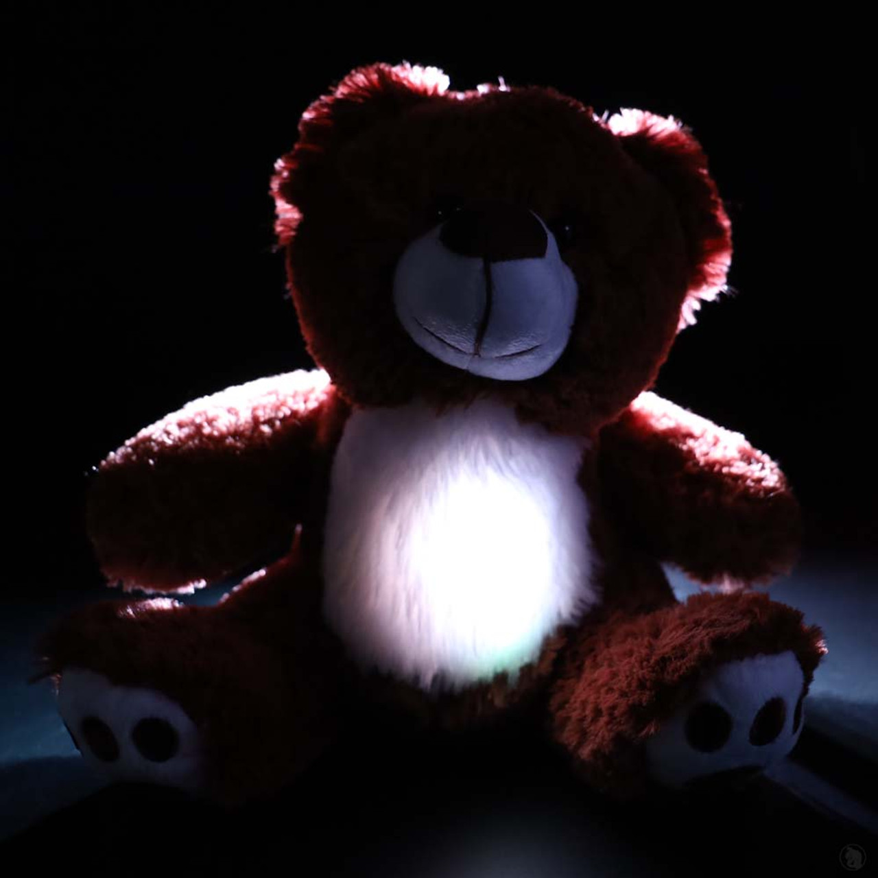 BooBuddy ghost hunting talking bear