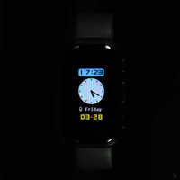 EVP Recorder Wrist Band Front Screen