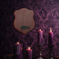 Ghost Hunter Trophy Wall Plaque