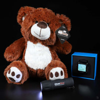 BooBuddy Ghost Hunting Kit with Trigger Bear, EVP and Flashlight