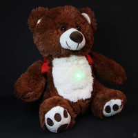BooBuddy Interactive Ghost Hunting Bear that Talks