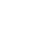 Shirt Icon